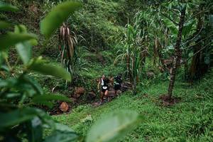 BIB: 
                            <button type="button" onclick="openModal(26200152)" class="btn btn-primary btn-sm float-right btn-popup" data-toggle="modal" data-target=".modal-high-quality">
                        <i class="fas fa-shopping-cart"></i> Add to Cart
                    </button>
                                            <button type="button" onclick="isThisMe(26200152, true)" class="btn btn-success btn-sm float-right btn-popup btn-isme hidden" data-toggle="tooltip" data-placement="bottom" title="นี่คือรูปของคุณใช่ไหม คลิกที่นี่เพื่อเอาเข้าอัลบั้ม">
                        <i class="fas fa-plus"></i> Add to album
                    </button>
                    <button type="button" onclick="isThisMe(26200152, false)" class="btn btn-warning btn-sm float-right btn-popup btn-isnotme hidden">
                        <i class="fas fa-ban"></i> Remove from album
                    </button>